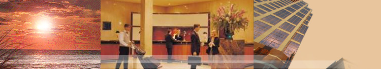 NetSolve